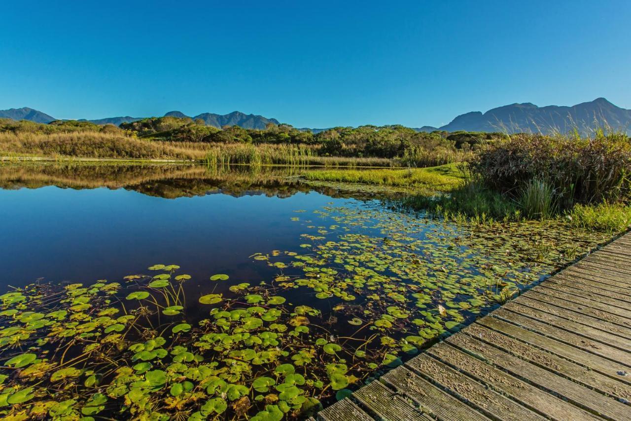 ホテル The Manor House At Fancourt ジョージ エクステリア 写真